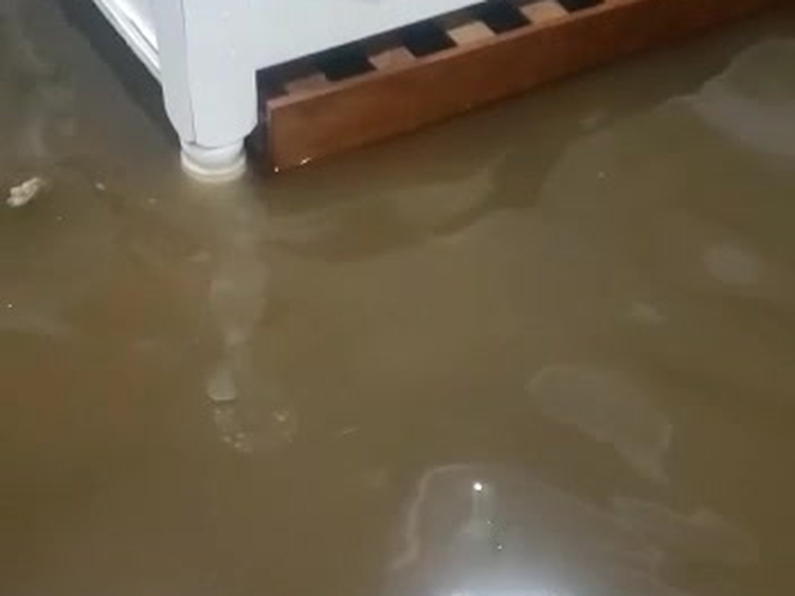 Sump pump failure water damage flooding finished bedroom on Staten Island with Cat 2 greywater contamination