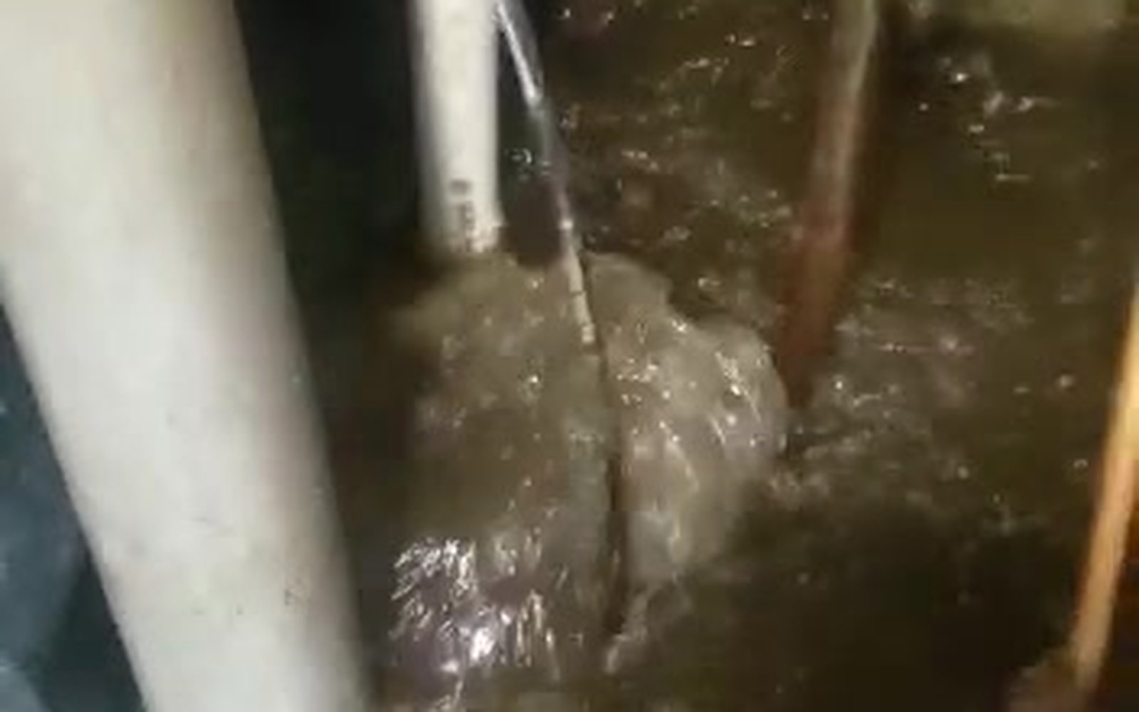 Active sump pump failure water damage on Staten Island — brown Cat 2 water flooding basement mechanical room